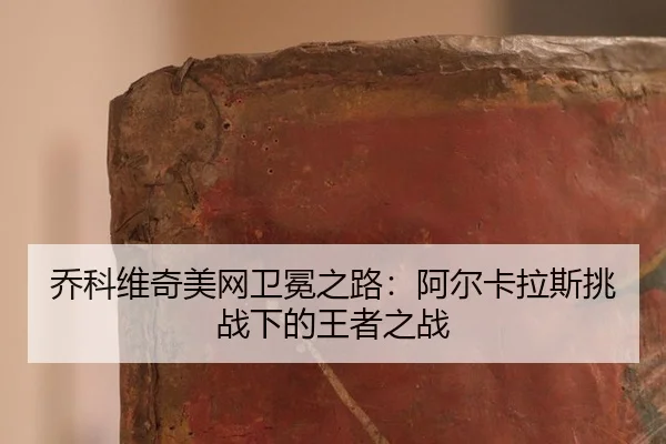 乔科维奇美网卫冕之路：阿尔卡拉斯挑战下的王者之战