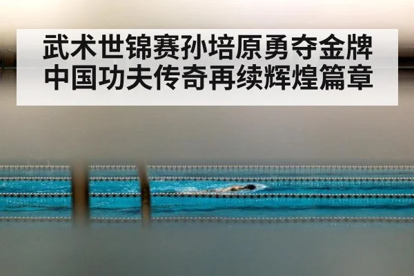 武术世锦赛孙培原勇夺金牌中国功夫传奇再续辉煌篇章