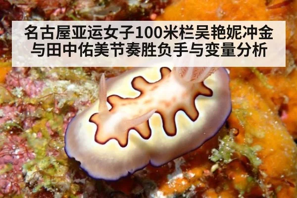 名古屋亚运女子100米栏吴艳妮冲金与田中佑美节奏胜负手与变量分析